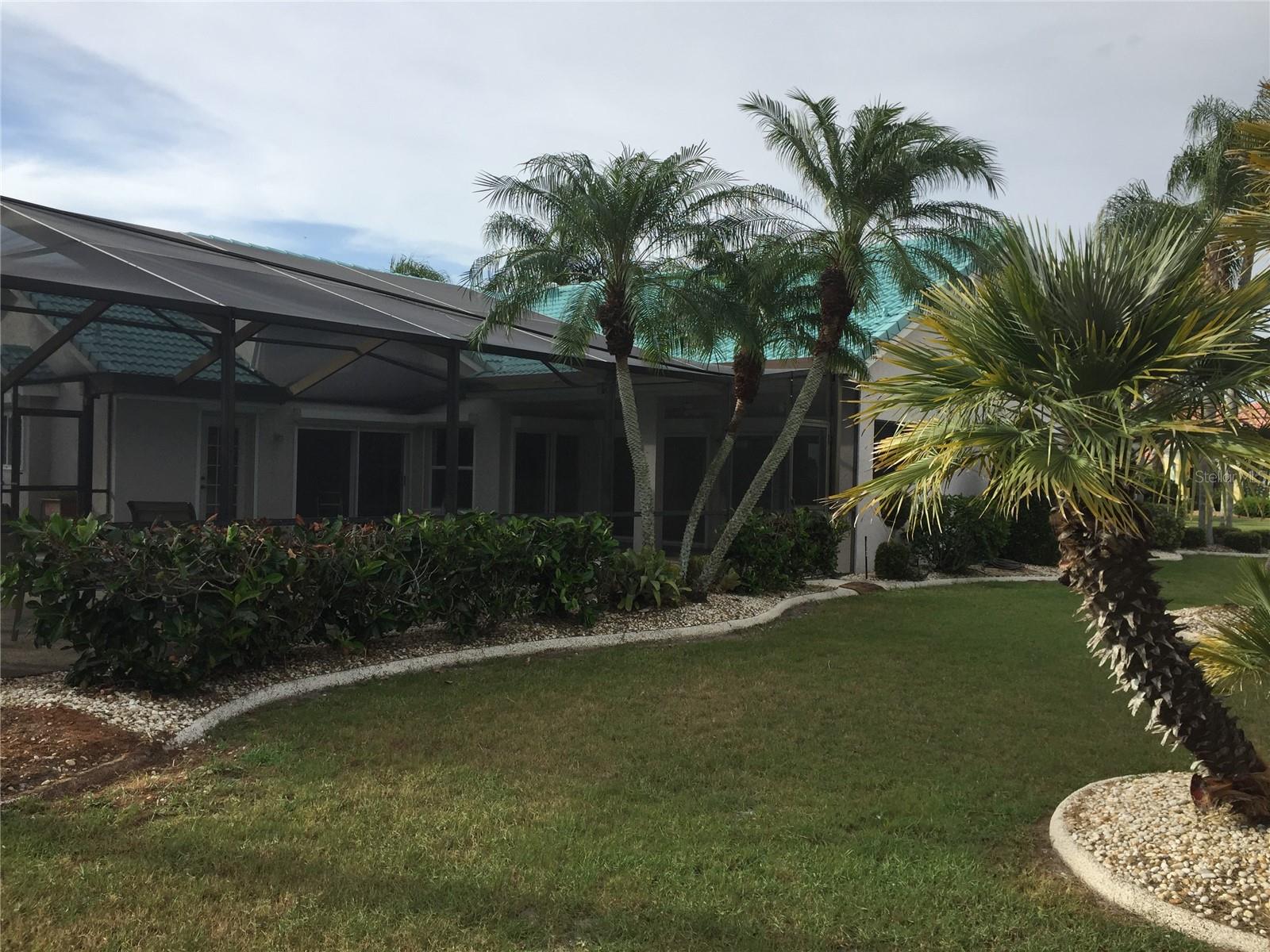 Side Yard Outside Pool