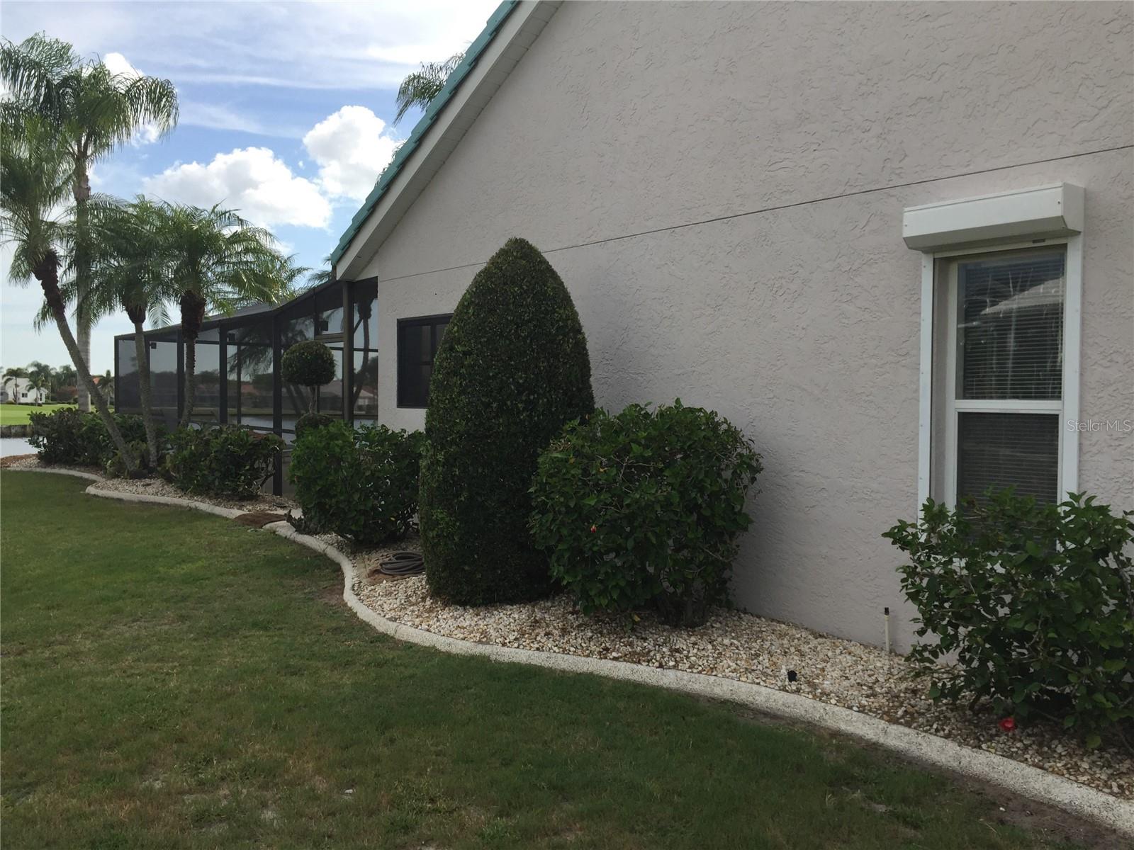 Side Yard