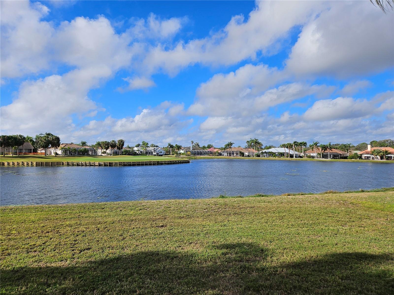 Backyard View