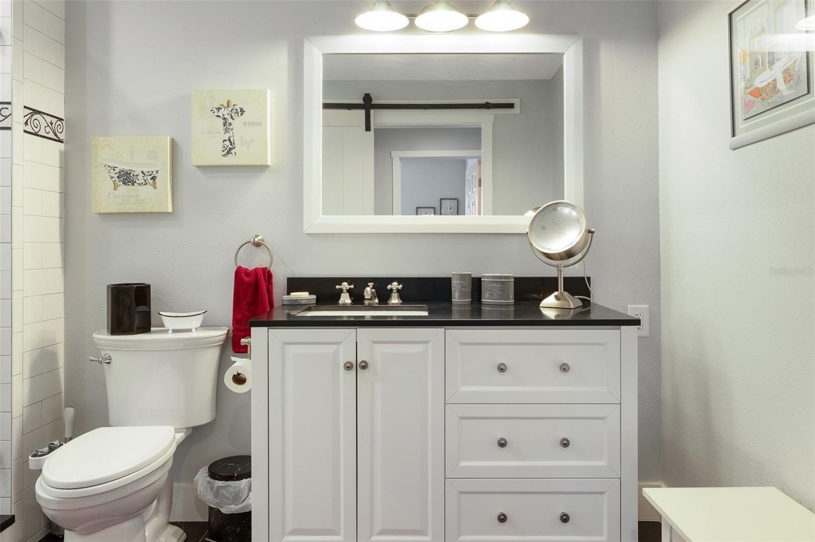 Master Bath Vanity