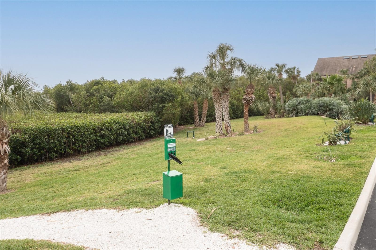 Beautiful Grassy Area for Dog Walking and Play