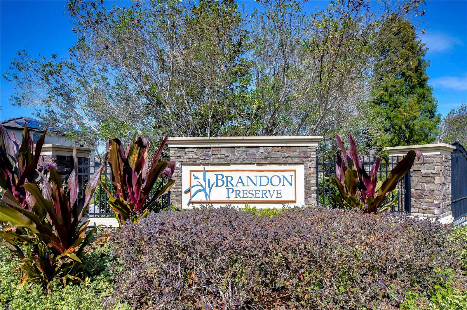 Welcome to Brandon Preserve: where tranquility meets community living.