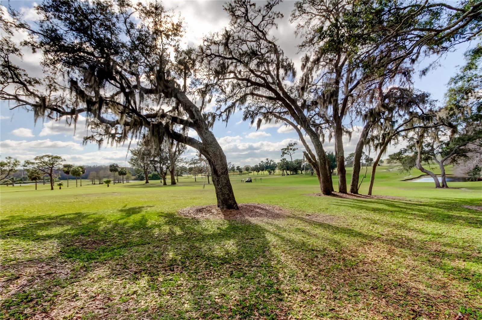 Tarpon Springs Golf Course