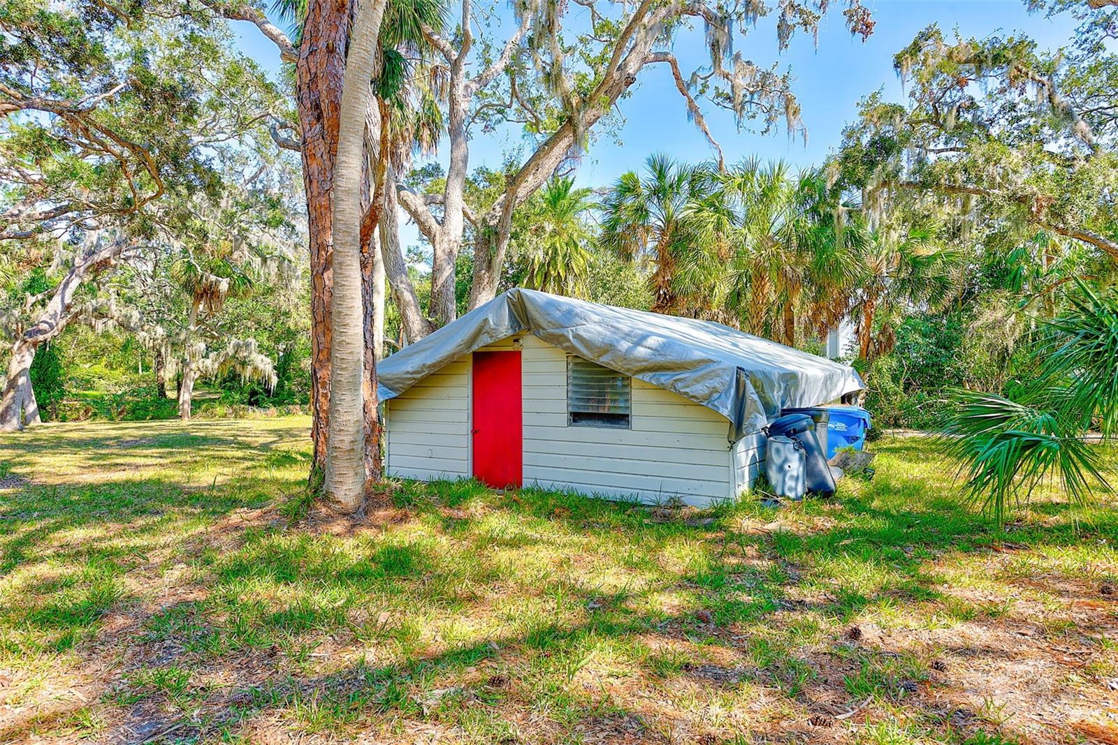 Shed with tarp so pine needles slide off.