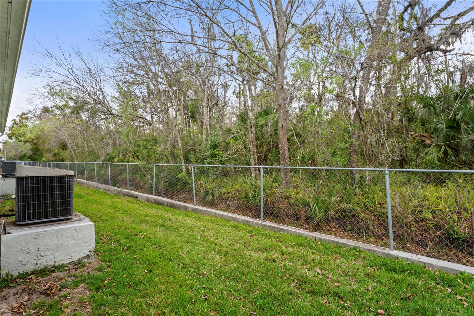 This is the back yard area.