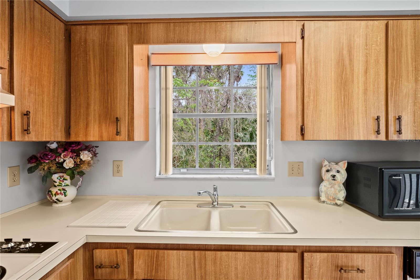 Who doesn't love a kitchen window? NO rear neighbors! There is a chain link fence that surrounds The Wilds community.