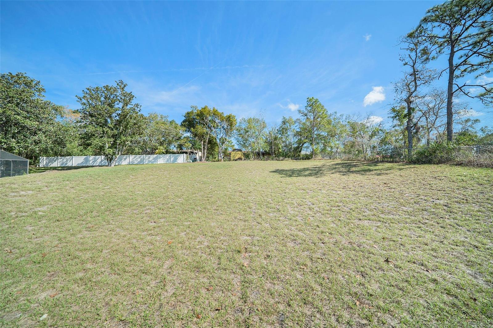 SPACIOUS Backyard!