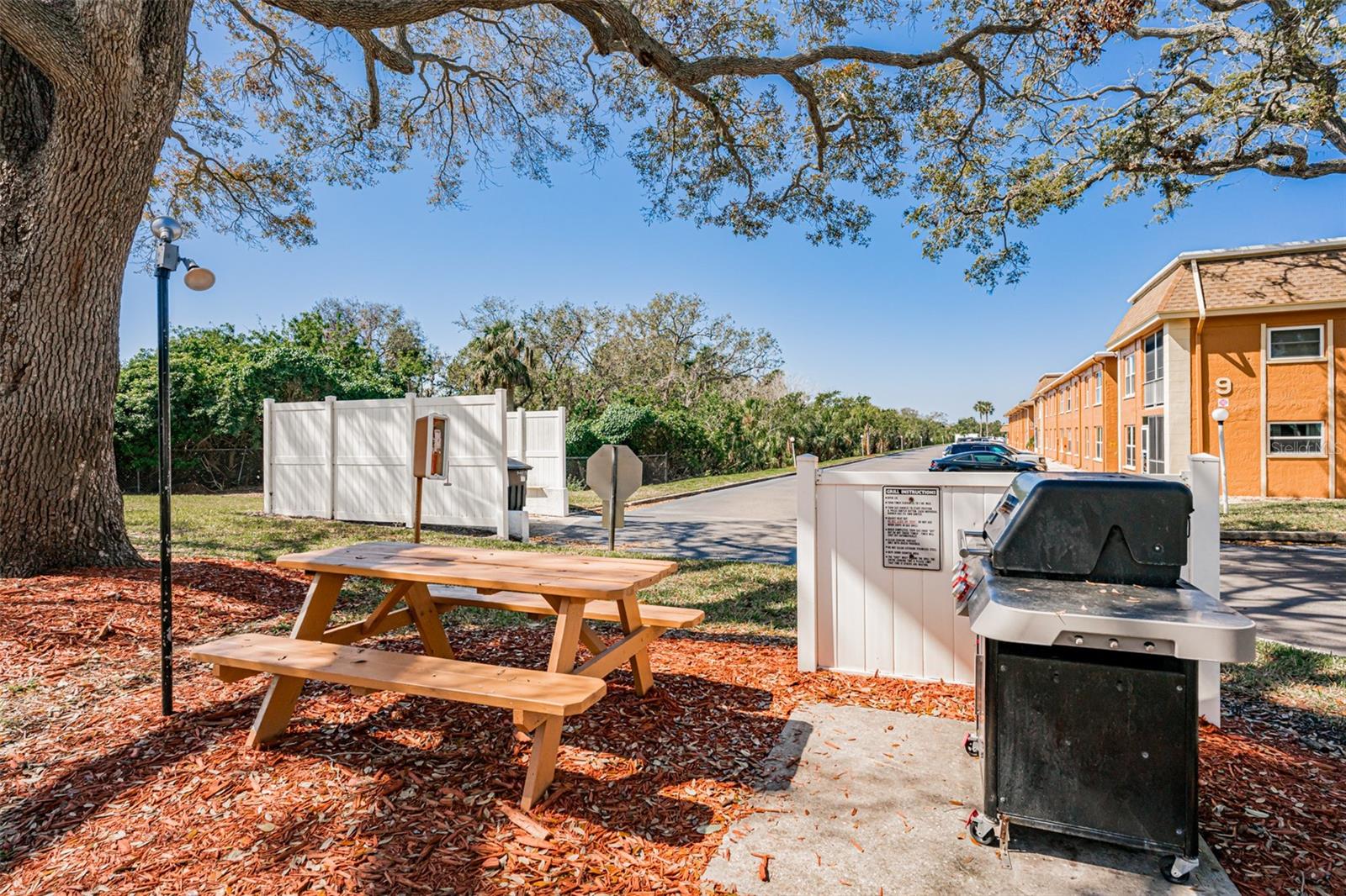 Outdoor grilling area with picnic table