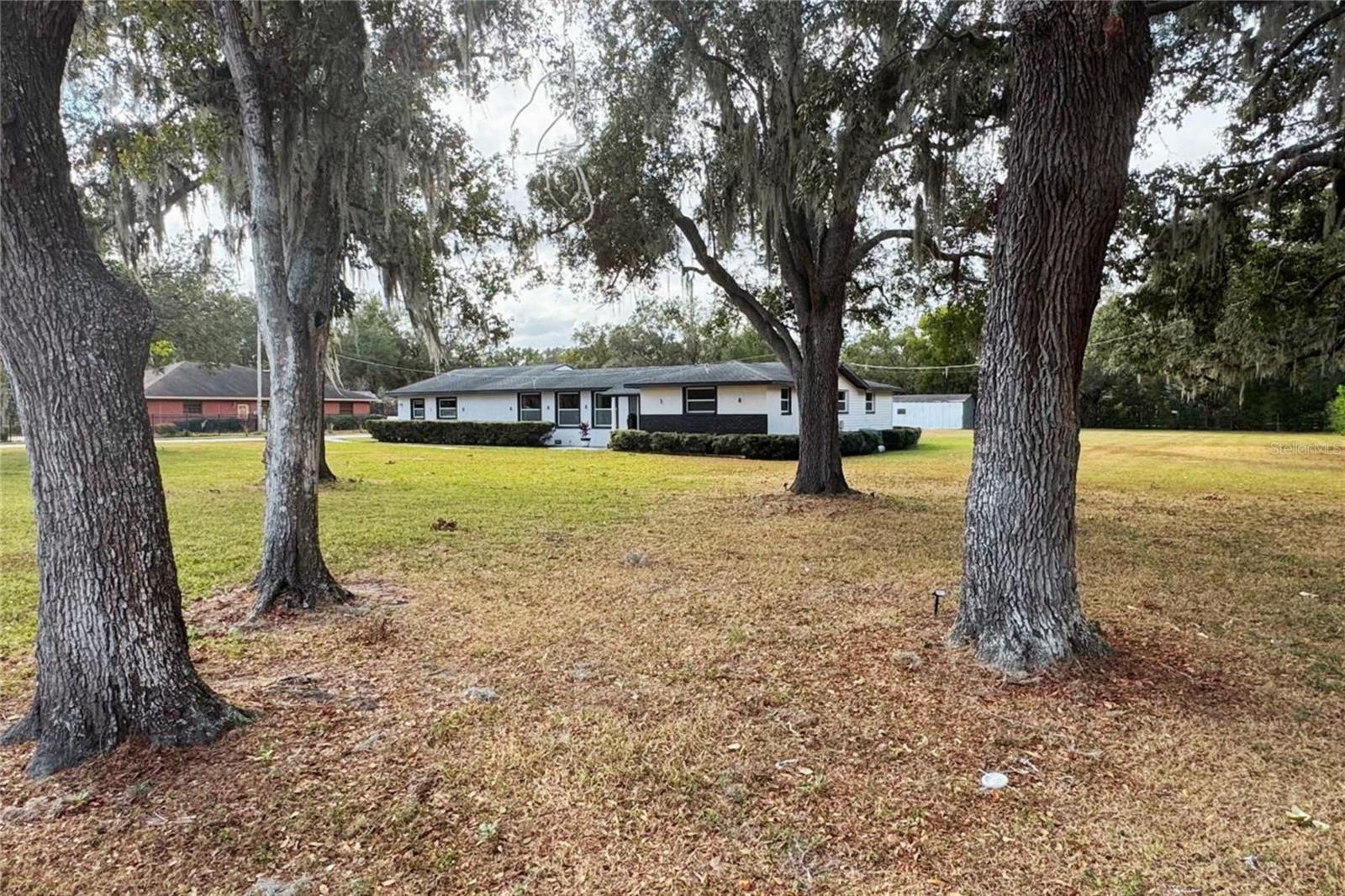 Front Exterior – Tree-Framed View