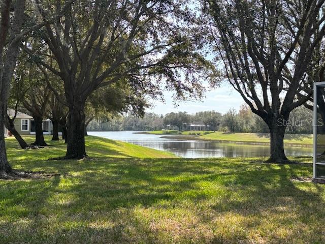 Backyard pond.