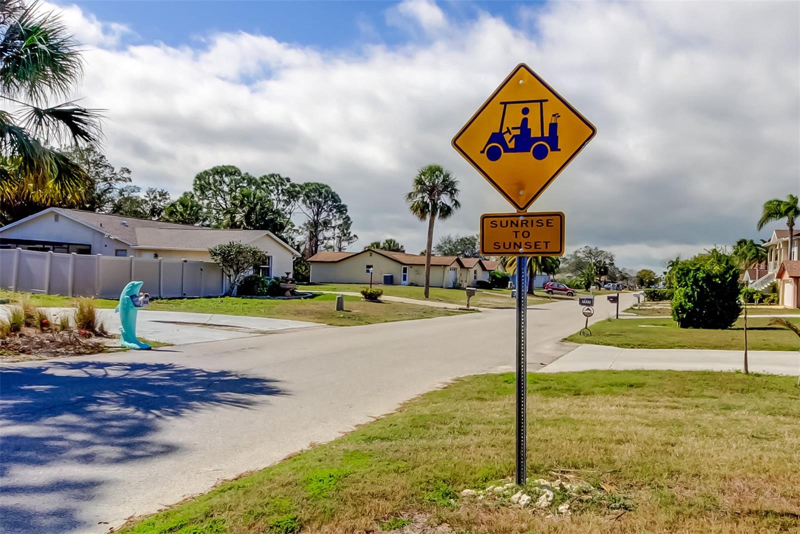 Beep Beep - Golf Cart Friendly Neighborhood