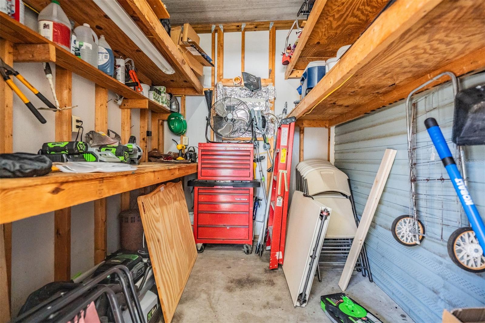 Shed with built in shelves and workbench