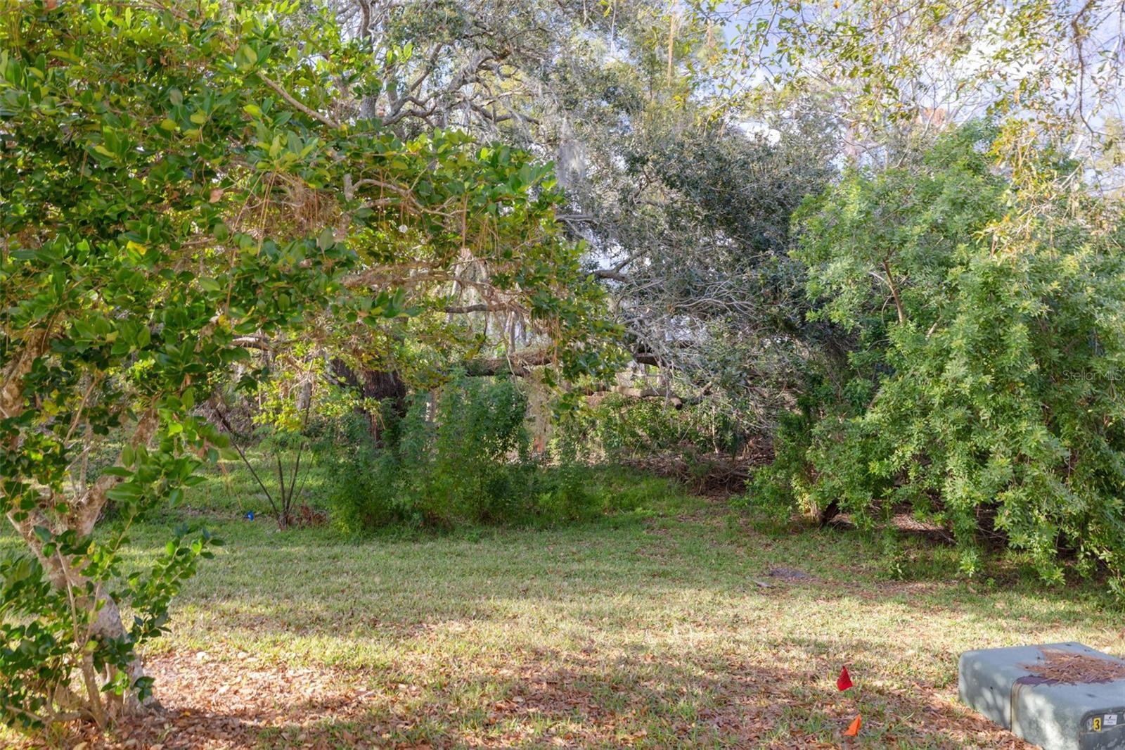 Wooded, Private Backyard