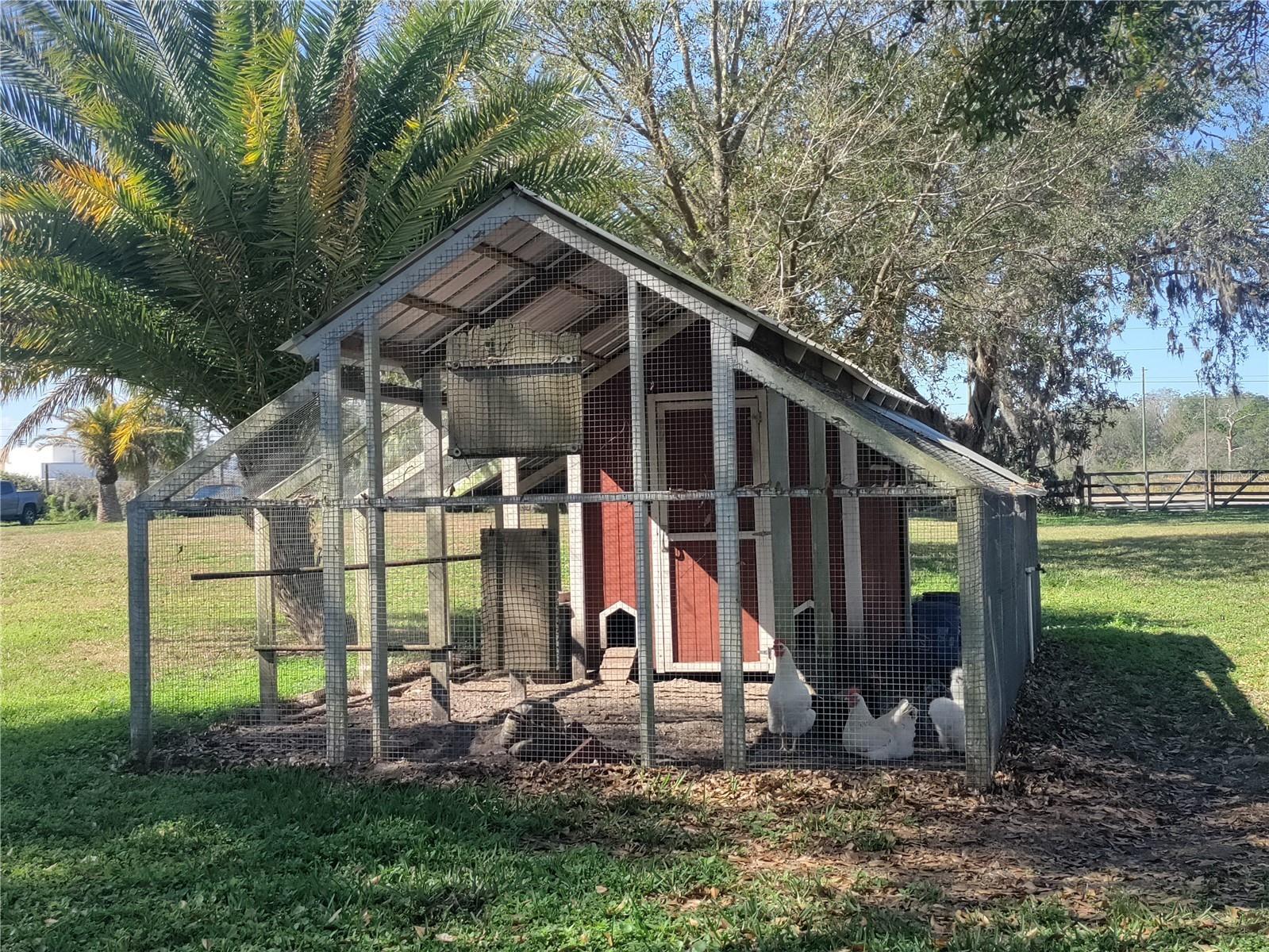 ChickenCoop