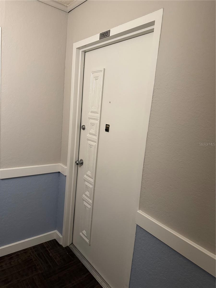 Condo Entry Door