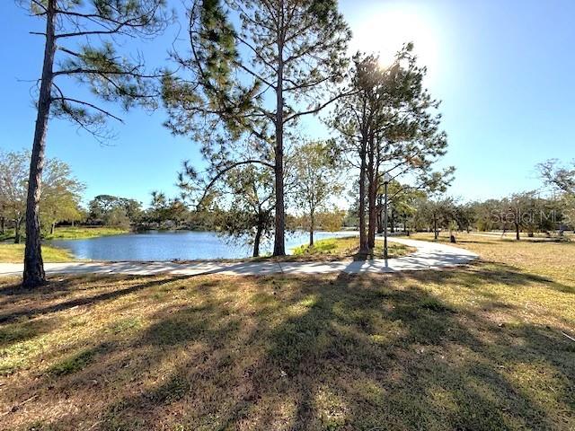 The Lake and surrounding Trails at Childs Park, behind the property.