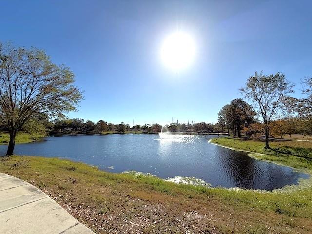 The Lake at Childs Park