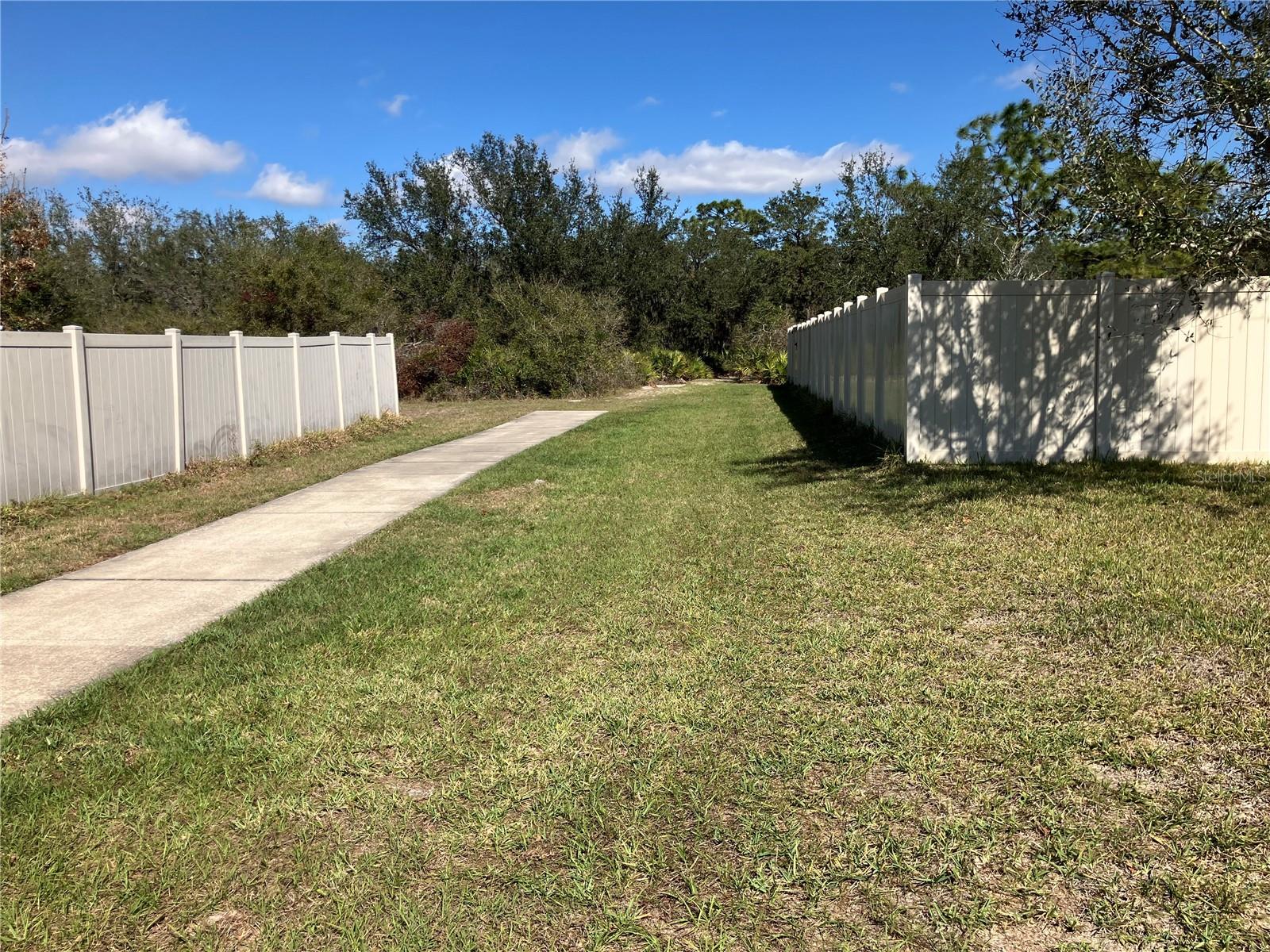 walking trail back of home