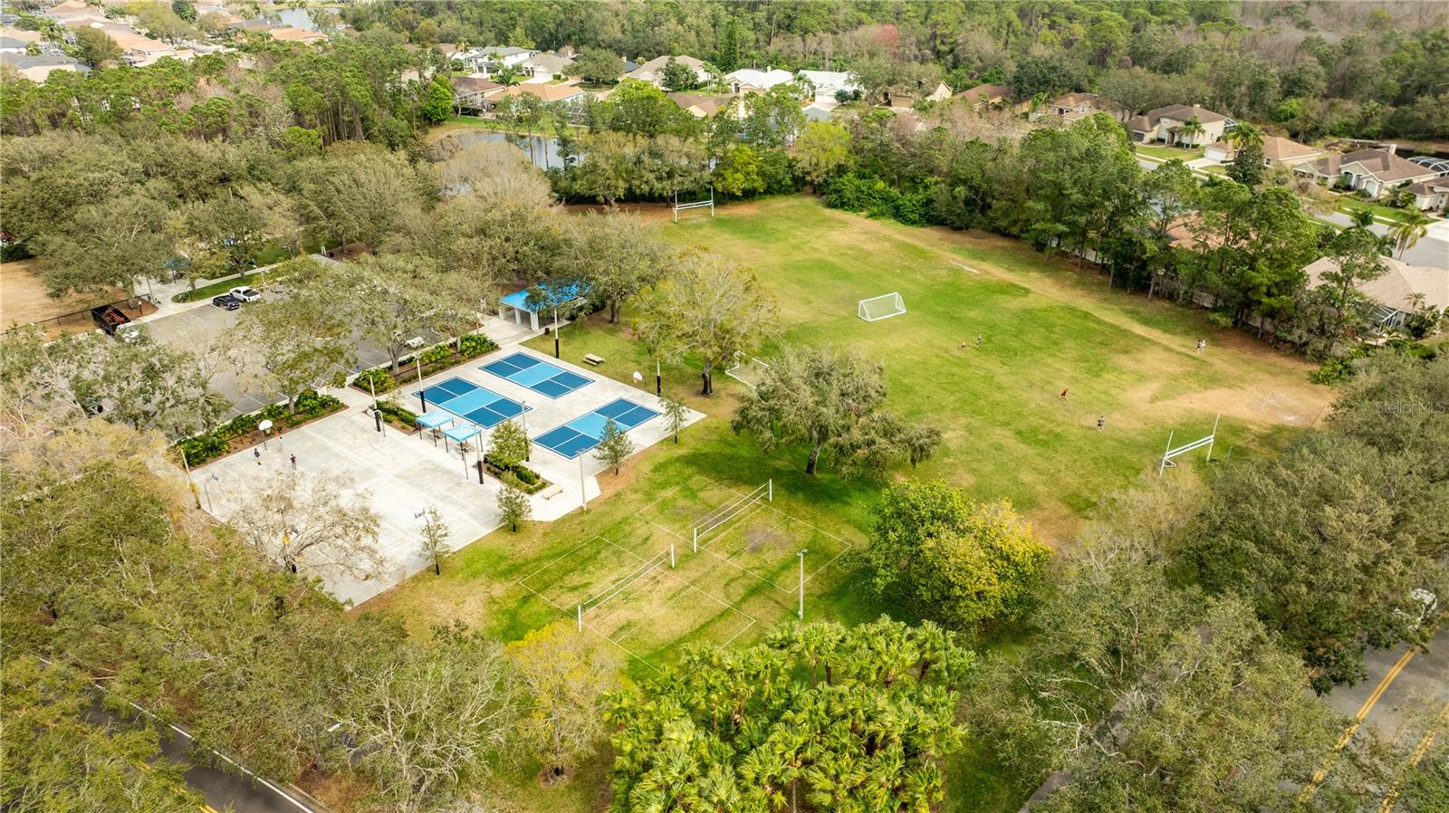 Lansbrook Commons Park with Pickleball, Volleyball, Football/Soccer Field