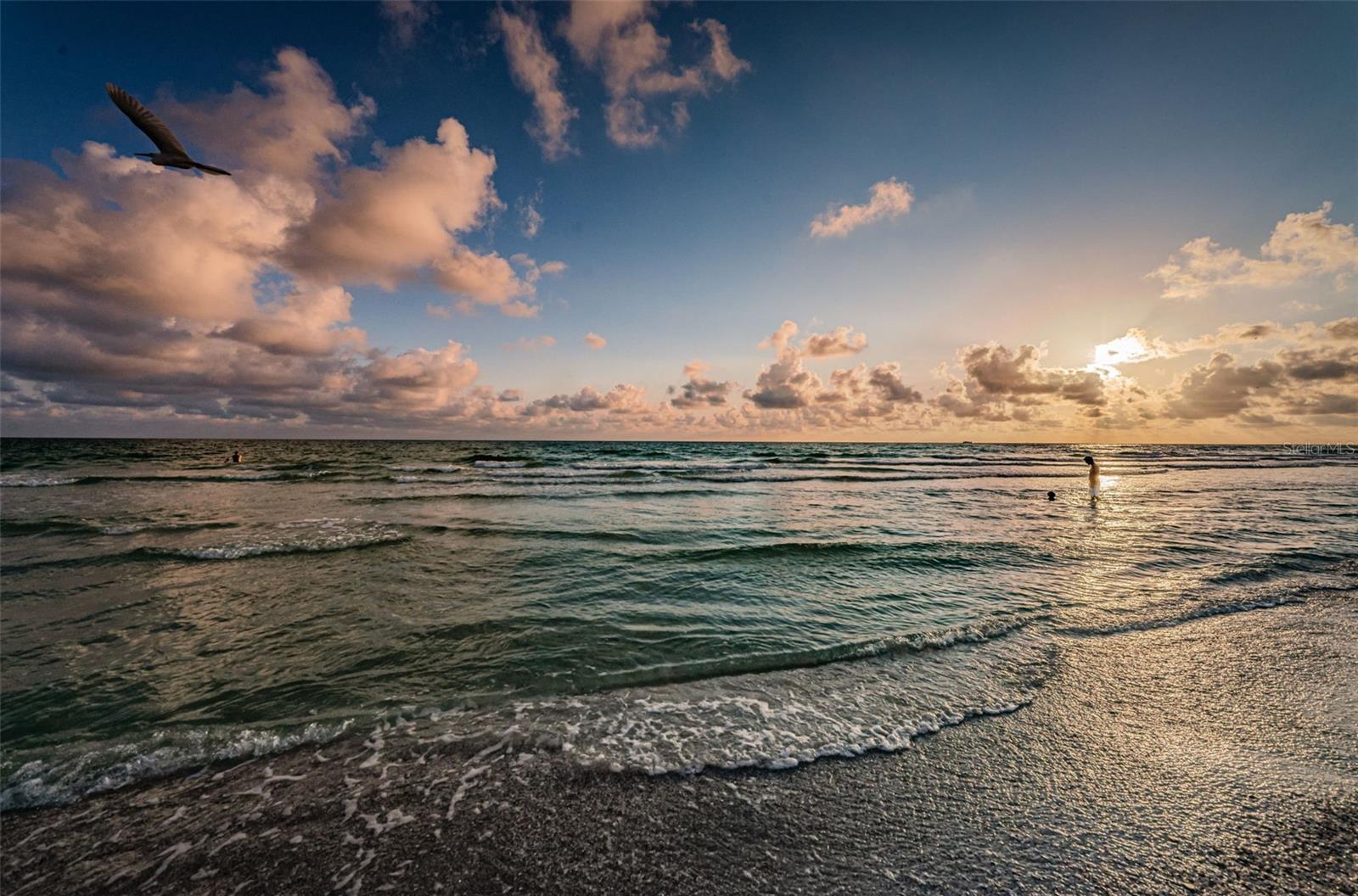 Gorgeous Gulf of Mexico