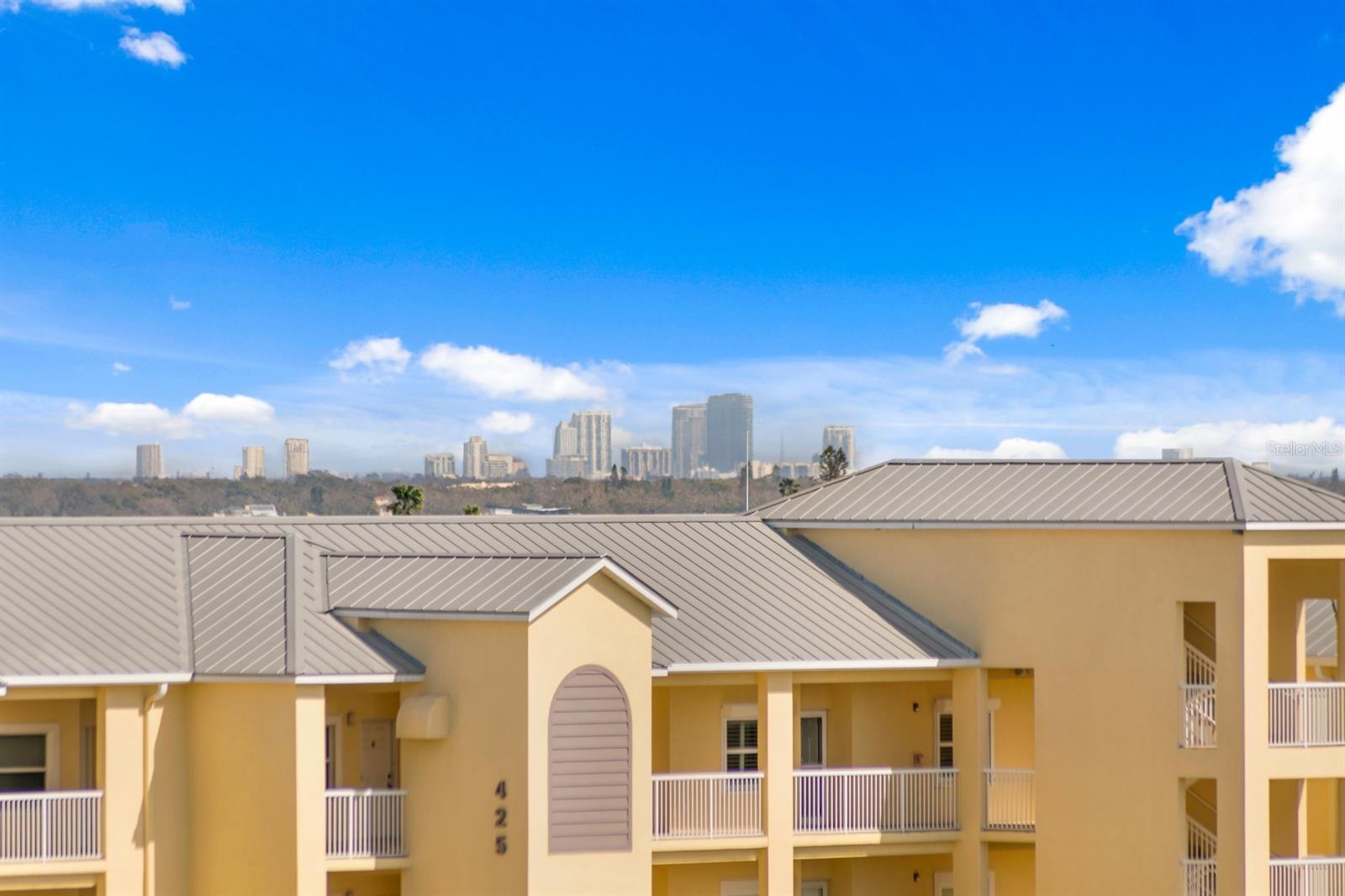 View of Downtown St Petersburg