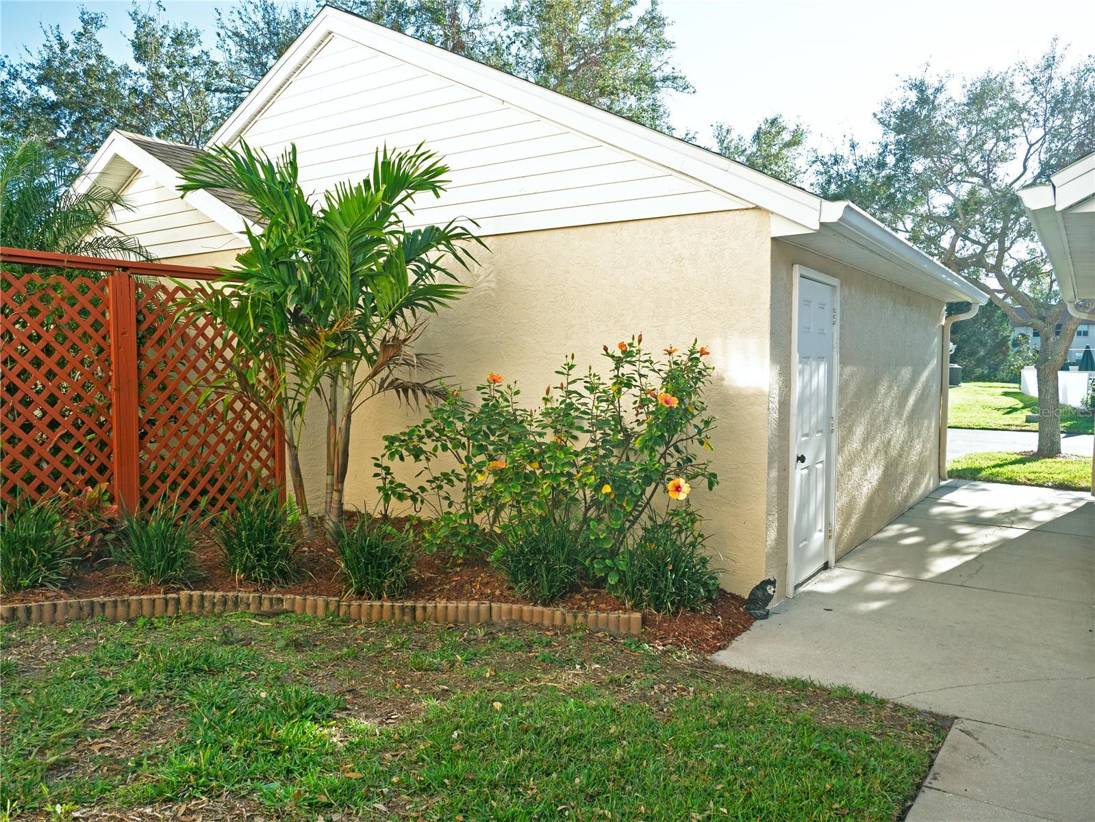 Front Garden