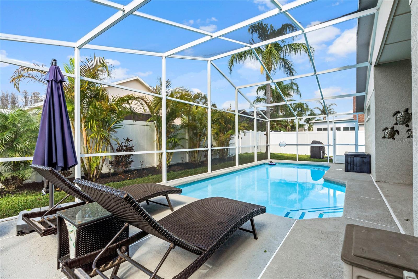 Enclosed Birdcage over the pool in the backyard