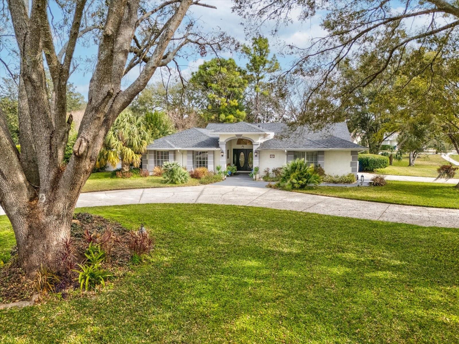 Front Circular Driveway