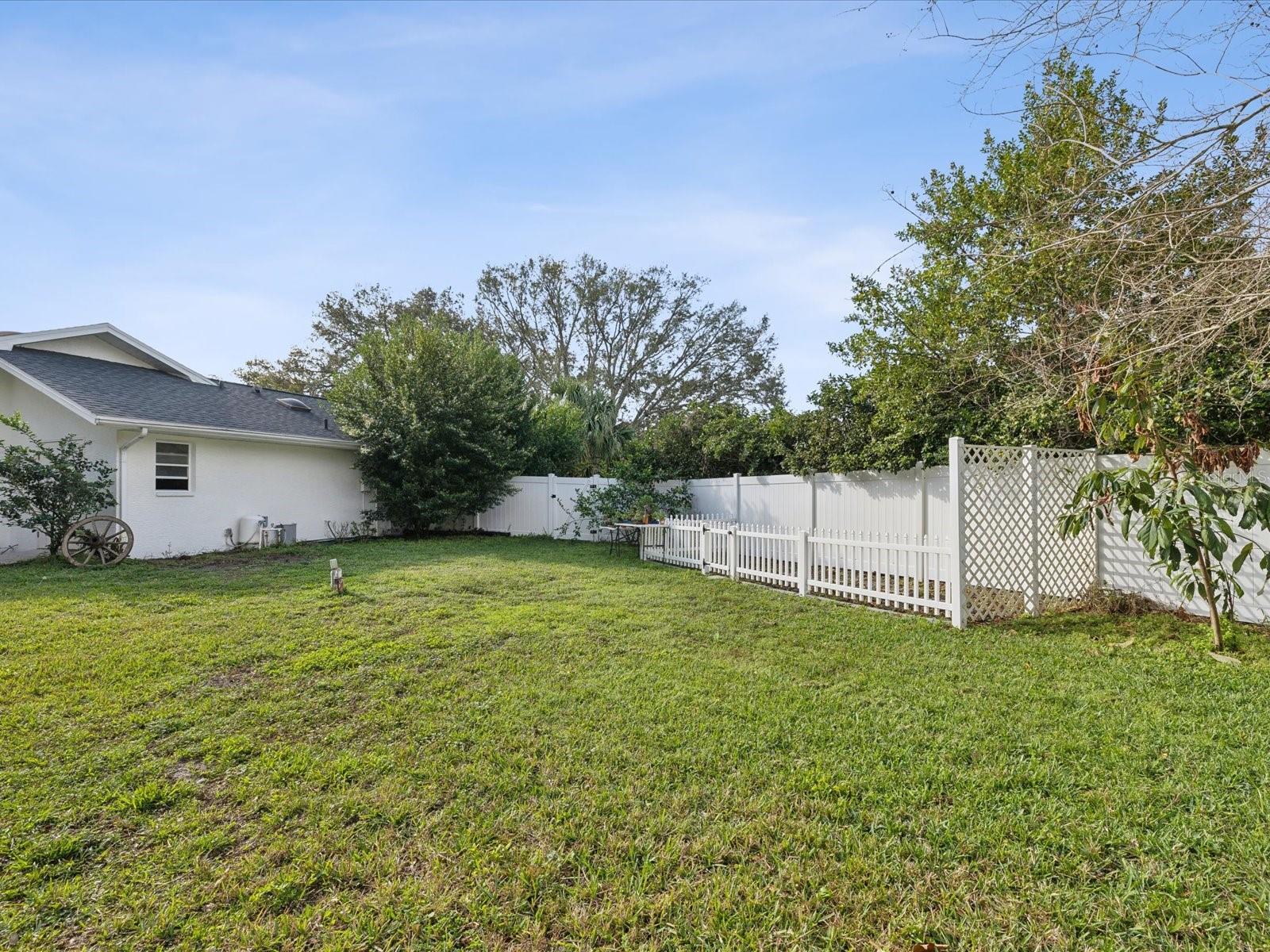 Fenced Back Yard