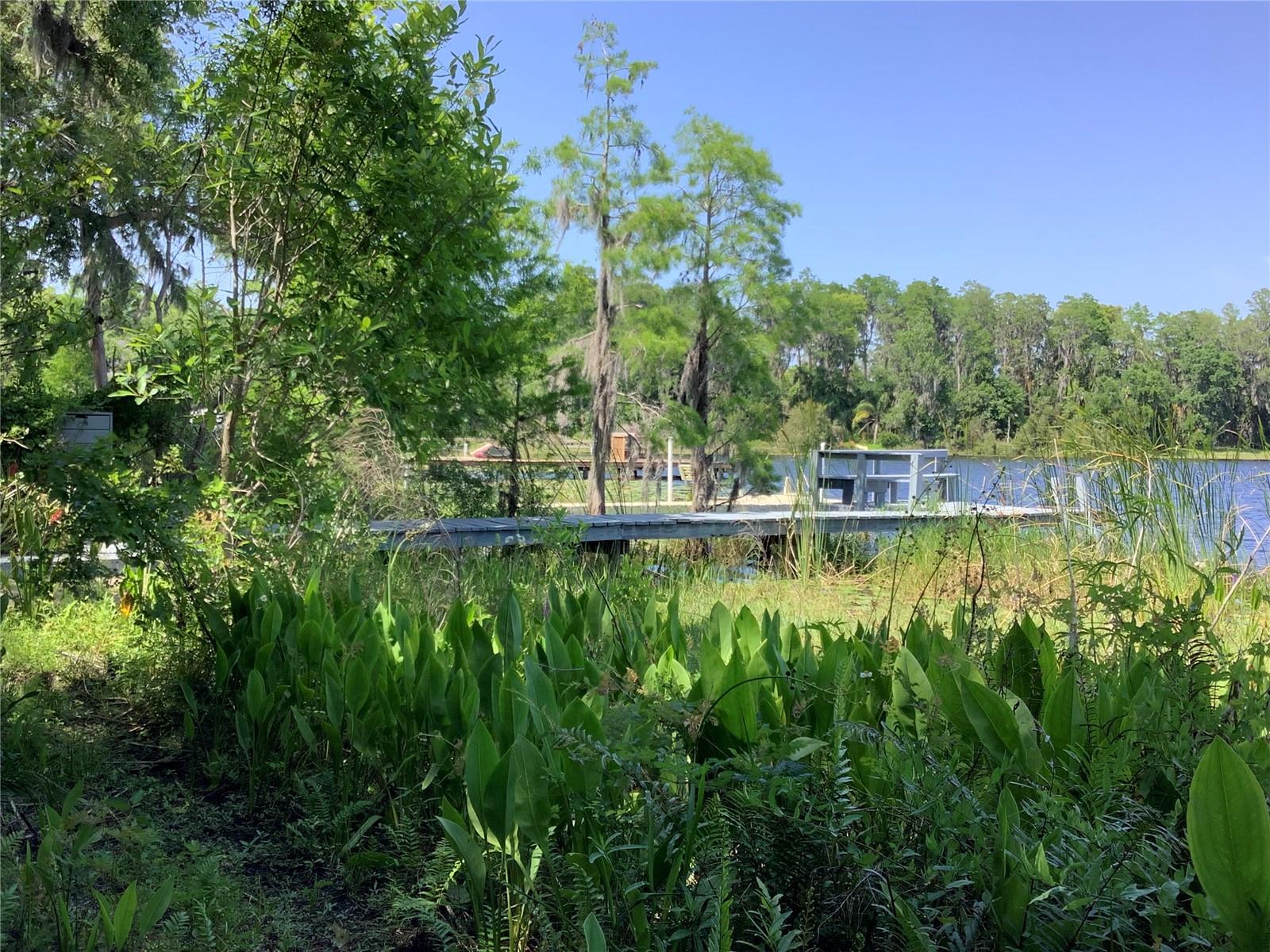 View of private dock