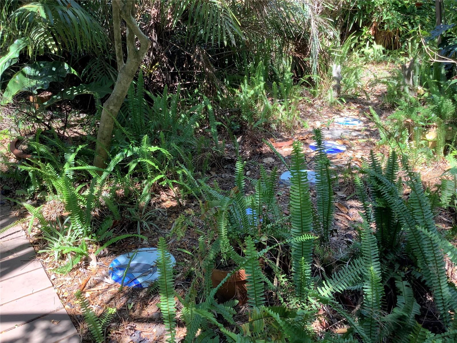 One of the many paths to the lake!