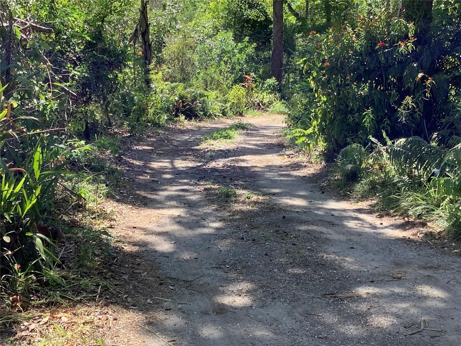 Private Entrance driveway off Crawley Rd