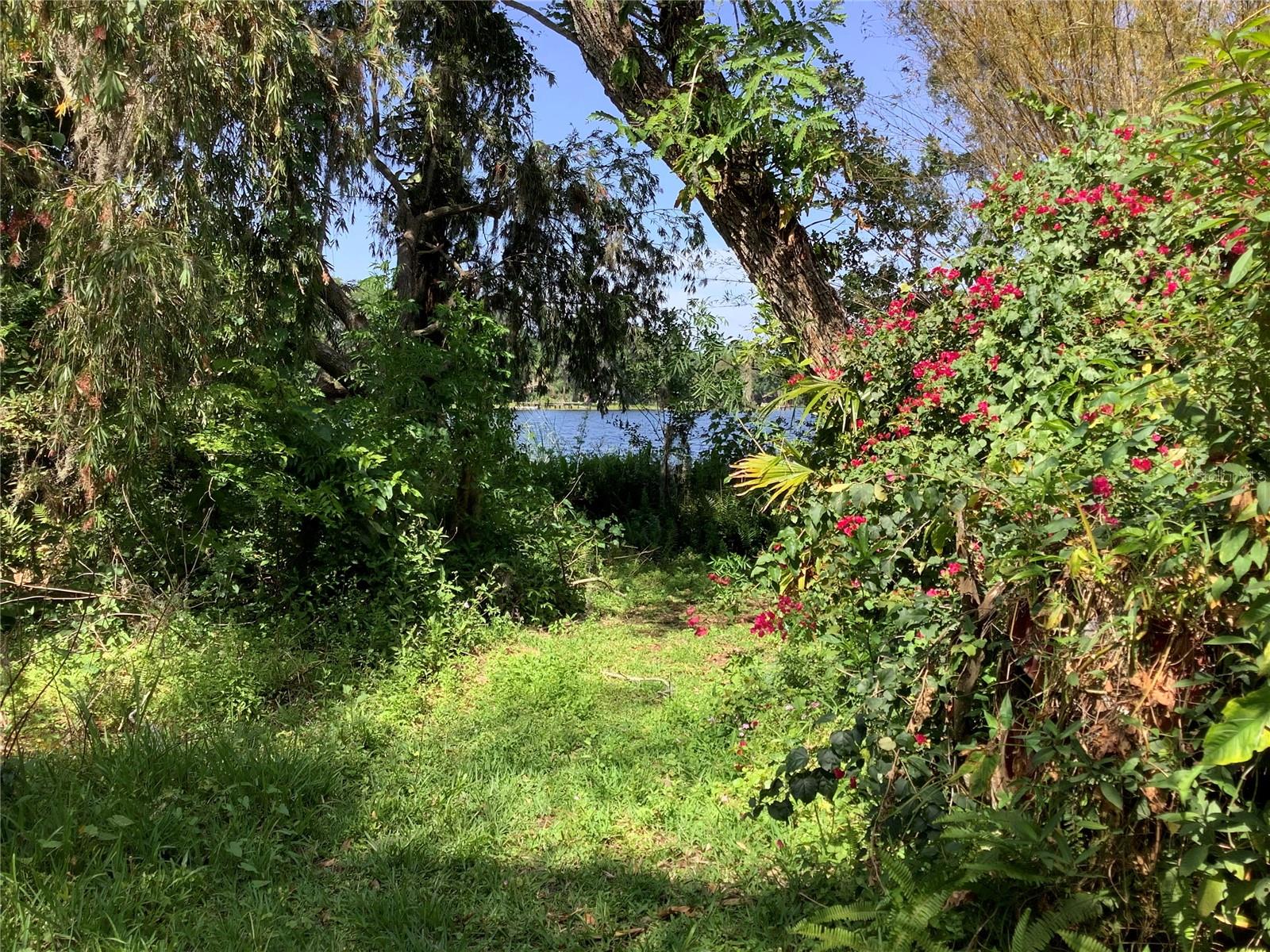 Lots of pathways to lake!