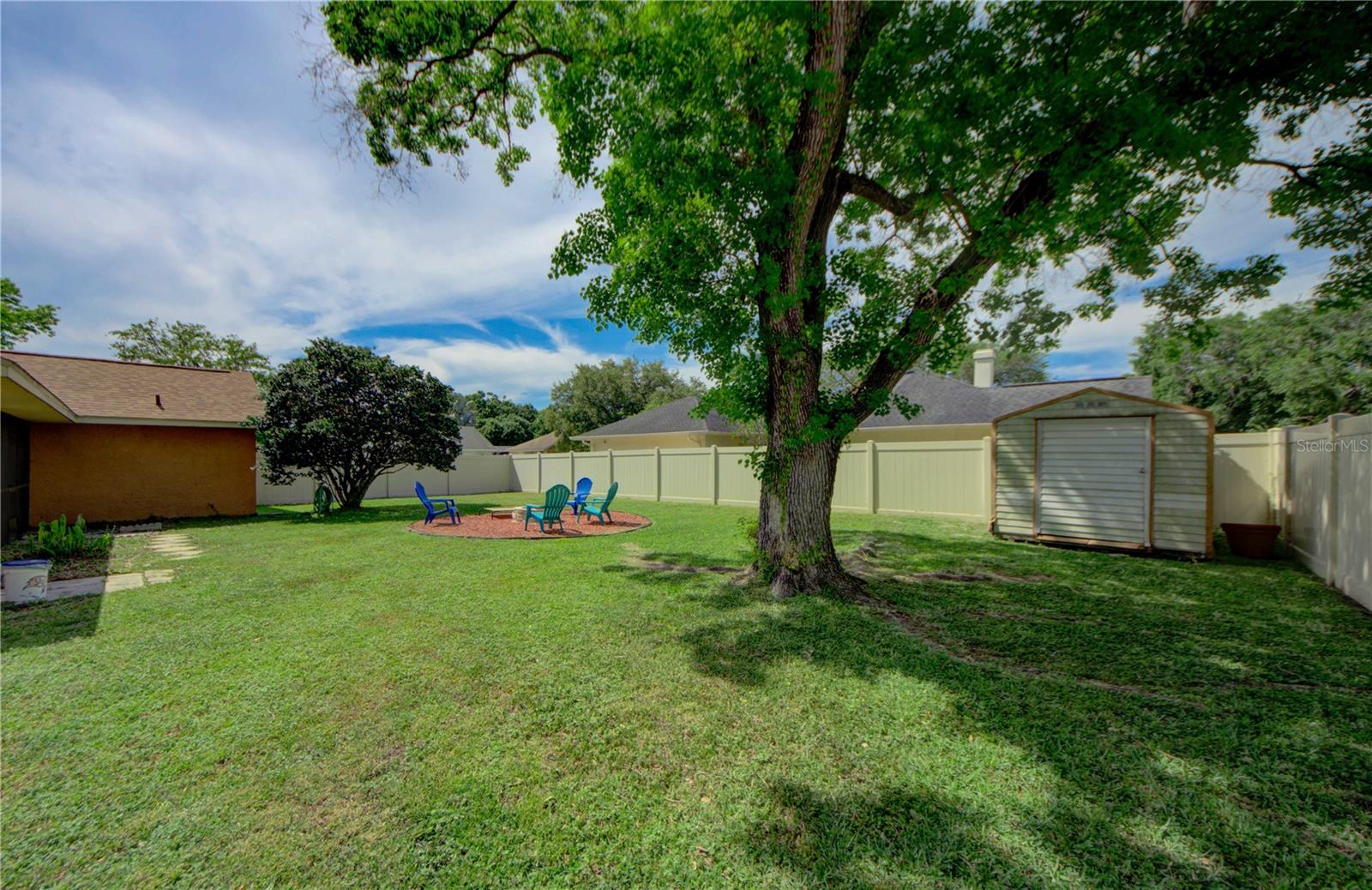 Large Backyard w/ shed