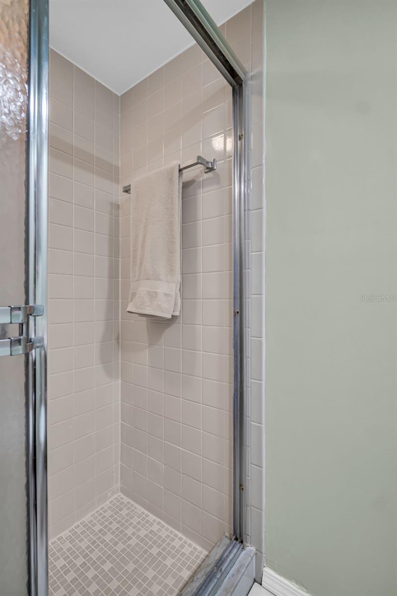 Master bath has a walk-in shower~