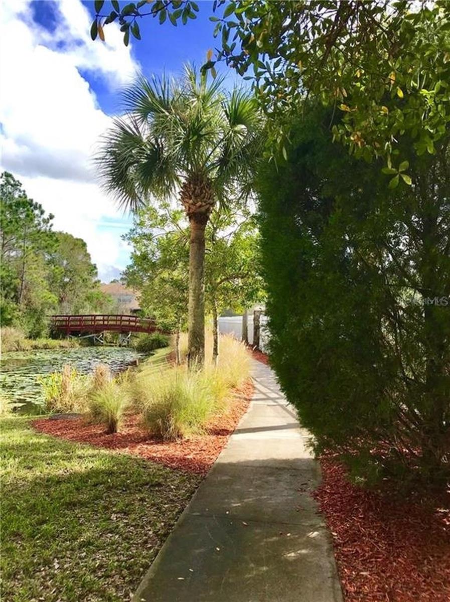 Sidewalk leading to the community boardwalk