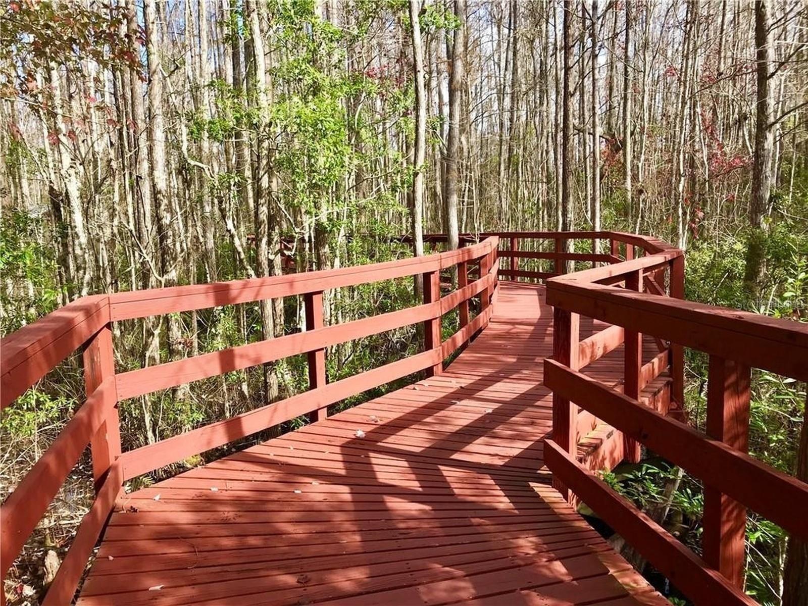 Boardwalk through private Cypress preserve