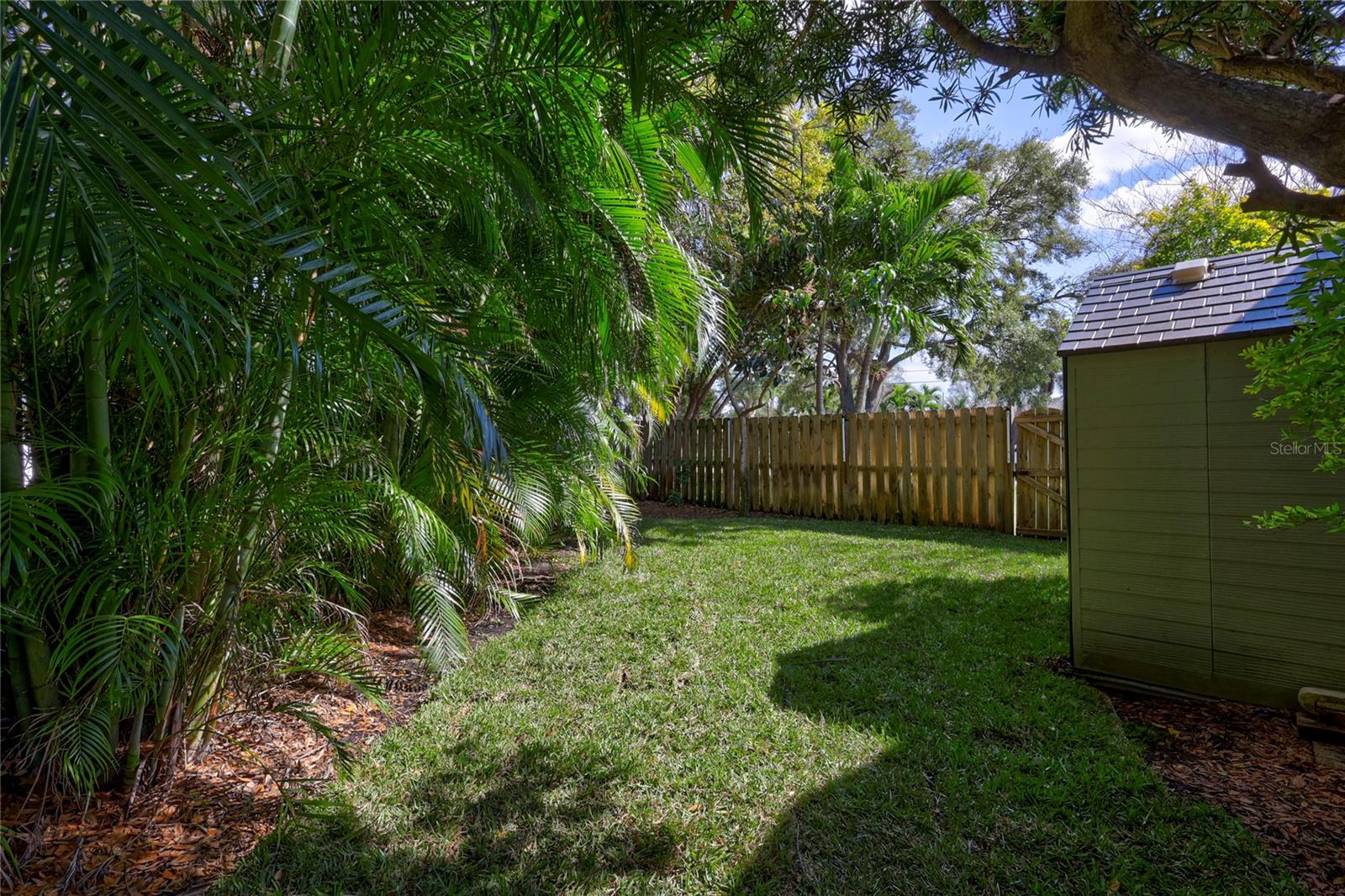 Beautiful Yard & Landscape