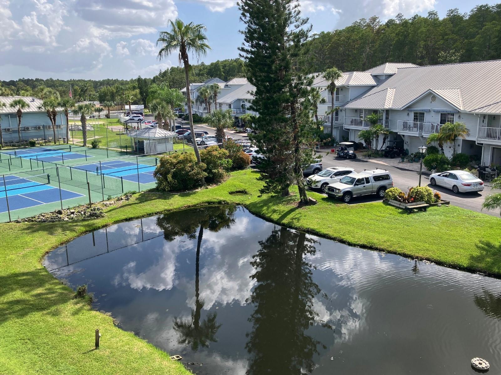 Fantastic Views of the club and pond