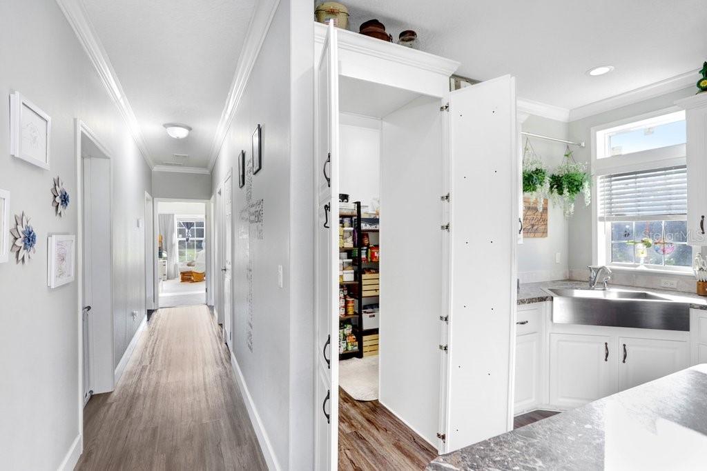 Hidden Pantry