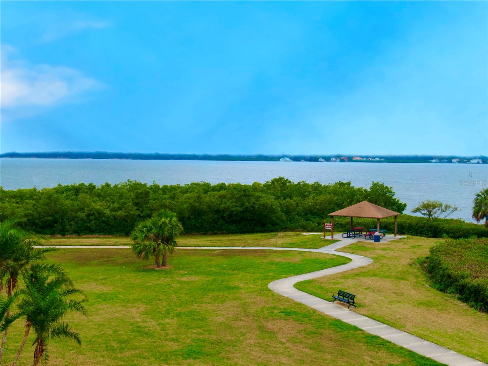 View from Porch