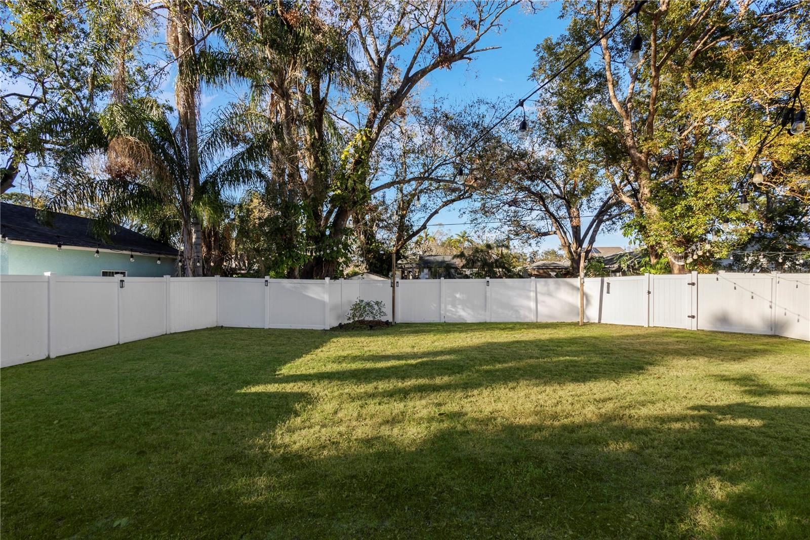 Spacious Backyard