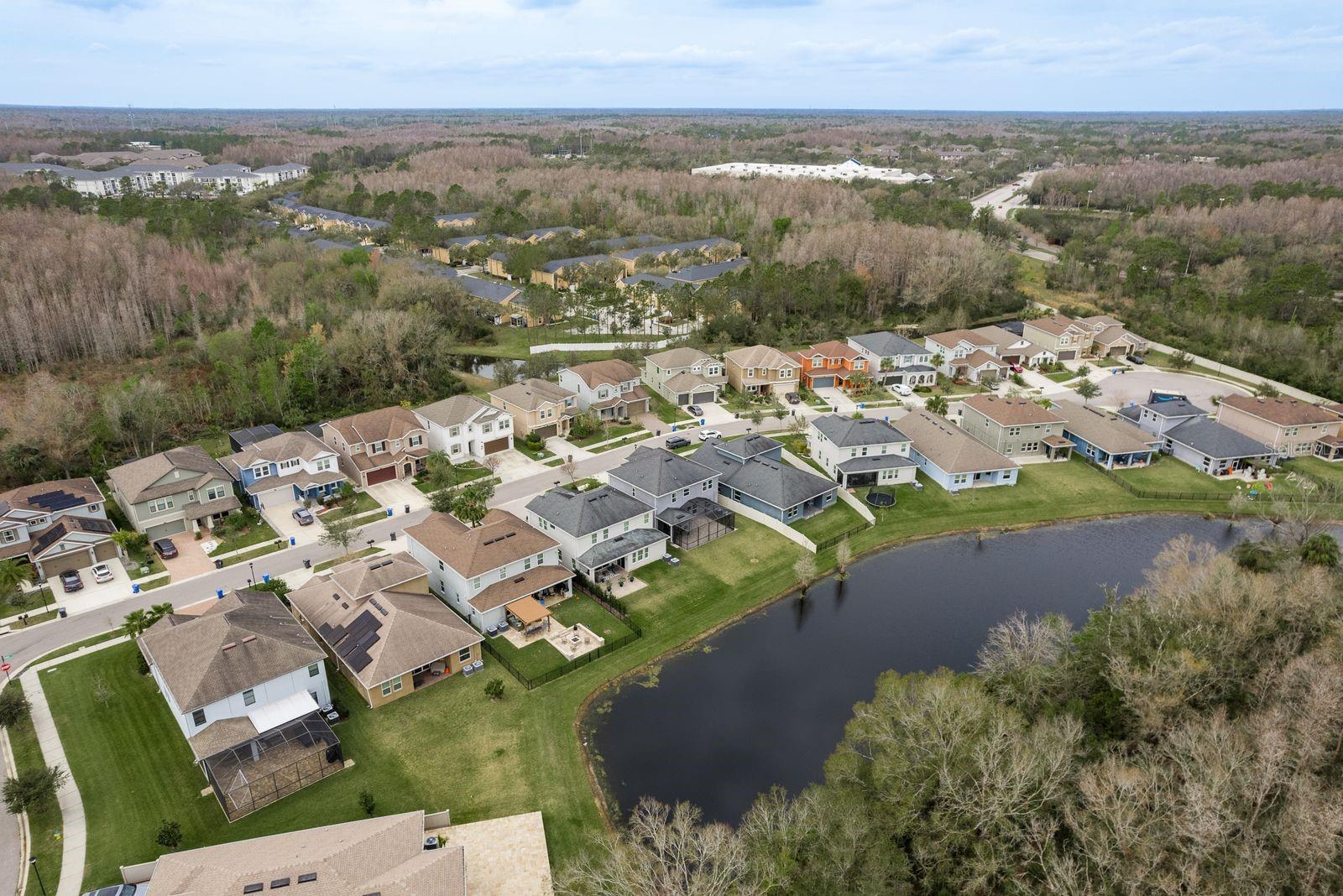 Beautiful neighborhood in New Tampa