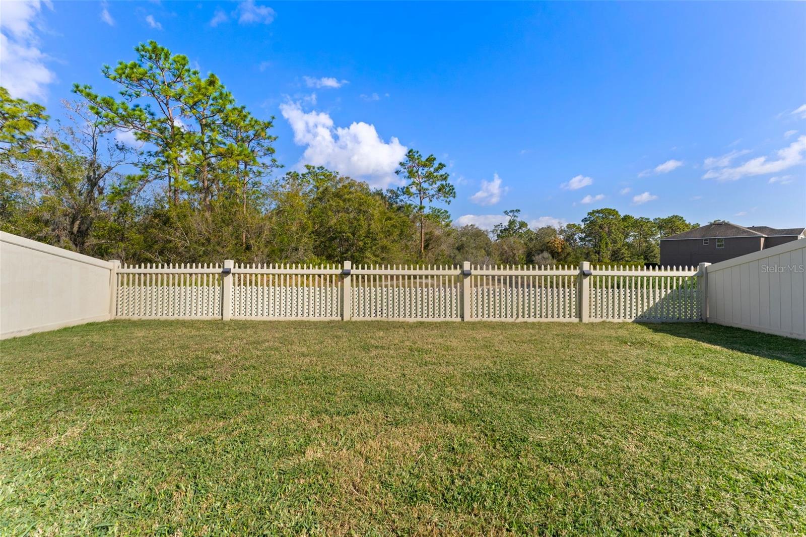 Fenced Backyard