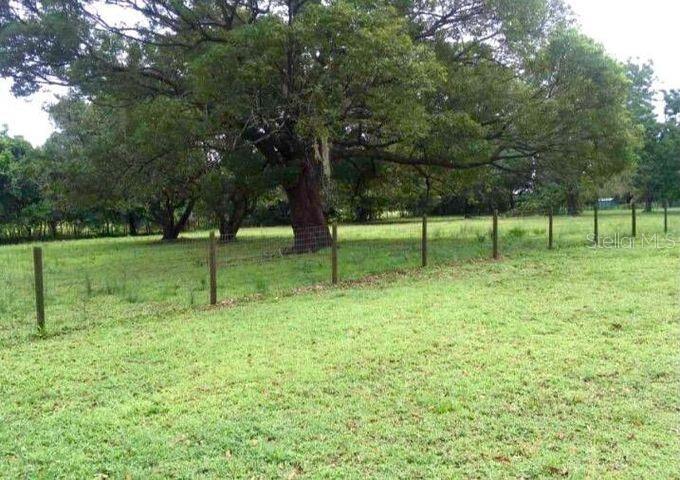 pasture