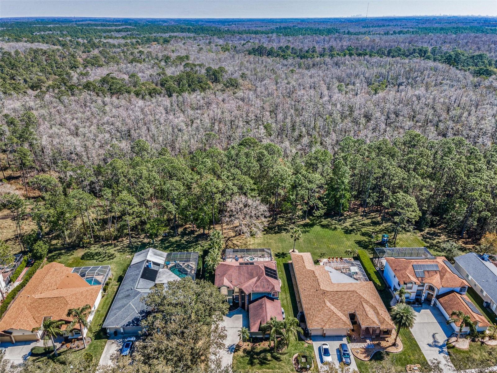 Arial view of Woodlands Conservation area behind house