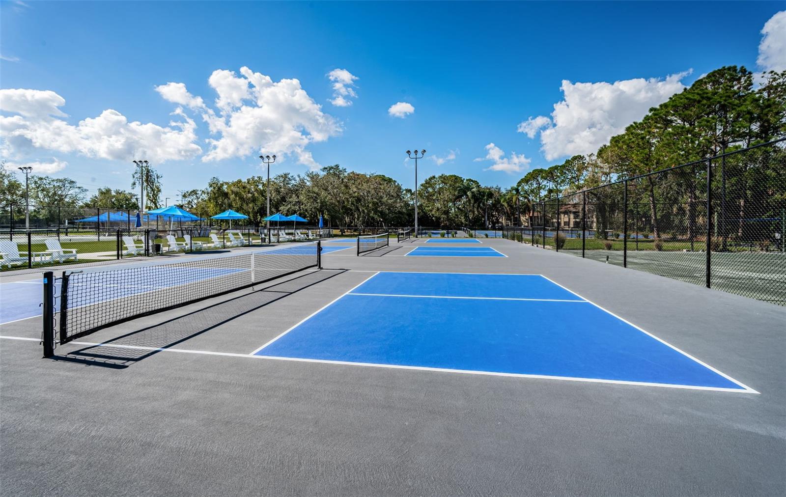 Pickle Ball Courts