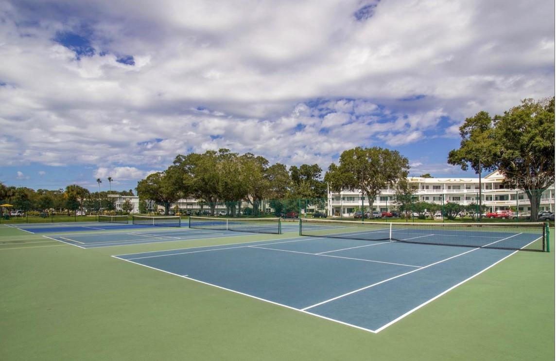 Tennis and pickleball courts