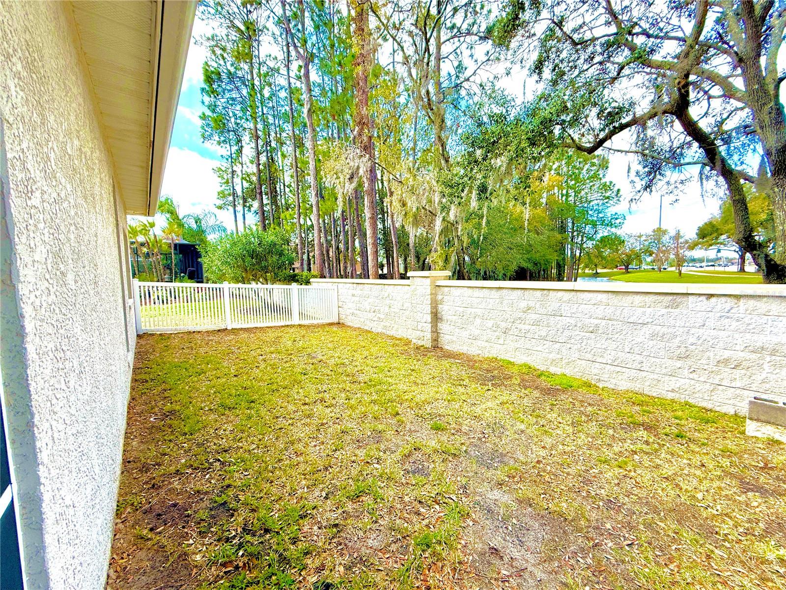 Dog run fenced in backyard