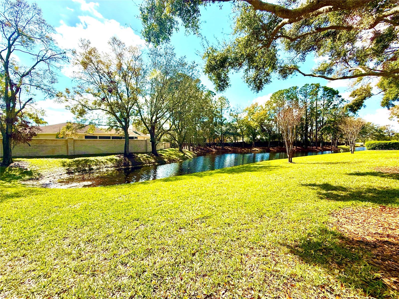 Pond and fountainsbehind the house